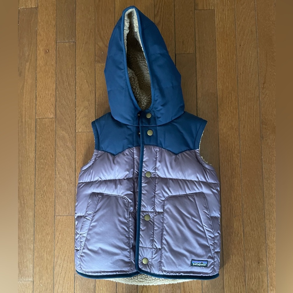 Patagonia Bivy Hooded Vest